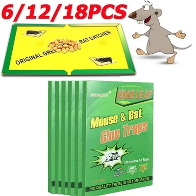 6/12/18xGrandes Ratones Ratón Pegamento Trampas Roedor Atrapa Ratas Tablero Interior Súper Pegajoso Foto 1 de 4