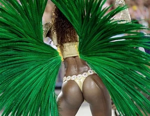 CARNAVAL UNIDOS TIJUCA WINNER CARNIVAL 2012 RIO SAMBA PHOTO 8x10 PICTURE - Picture 1 of 1