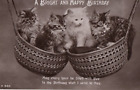 VINTAGE BIRTHDAY GREETING postcard:   KITTEN CATS IN HANGING BASKETS