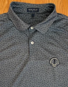 Camisa Polo Peter Millar Para Hombres L Floral Domingo Estampado Completo Chicago Golf Club - Imagen 1 de 11