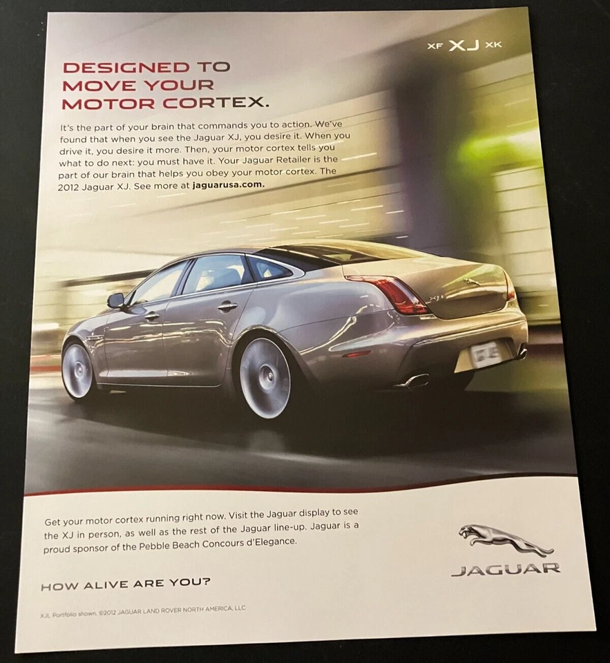 Silver 2013 Jaguar XJL Portfolio - Original Color Print Ad / Wall Art - MINT - Image 1 of 4