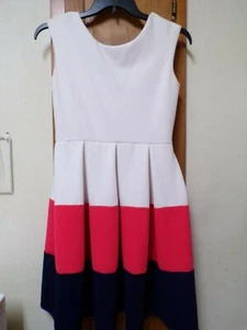 TIANA B Multi-Color Sleeveless Zips in the Back *NICE* Dress - Size 4 - Picture 1 of 10