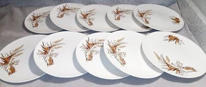 10 MCM Edwin Knowles Caprice 10.25" Dinner Plates Brown Yellow Wheat Leaves EUC - Picture 1 of 7