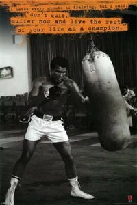 Muhammad Ali Punching Bag 24x36 Premium Poster - Picture 1 of 1