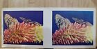 True To Life Stereo Lipton 1963??#14 BUTTERFLY on RED HOT POKER Picture Card??