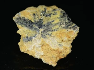 STIBNITE from Austria * NICE TN SPECIMEN * 3,1 cm - Picture 1 of 2