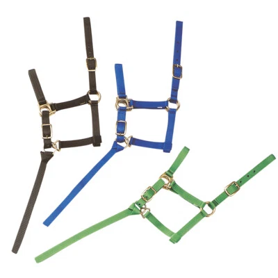 Nylonhalfter Halfter Fohlen - Bild 1 von 2