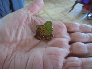 Ancien Pin's a la Grappe de Raisin du Vin Italien Del Forno ??  - Imagen 1 de 2