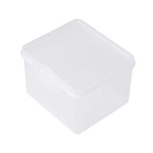Rectangular Plastic Clear Storage Box Jewelry Beads Collection Container Organiz - Picture 1 of 8