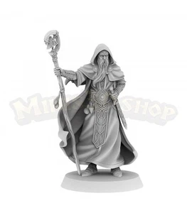 Aelric Hechicero Humano - Imagen 1 de 4