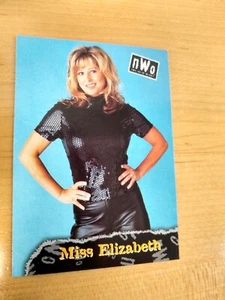 1998 Topps WCW/nWo #52 Miss Elizabeth - Picture 1 of 2