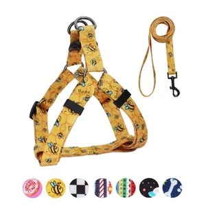 QQPETS Dog Harness Leash Set Adjustable Heavy Duty No Pull Halter Harnesses f... - Picture 1 of 5