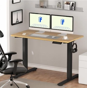 Standing Desk 55 X 28 Height Adjustable Desk Electric Sit Stand FLEXISPOT - Picture 1 of 8