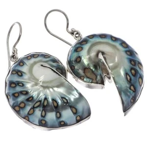 Iridescent Blue Batik Polish Nautilus Shell Sterling Silver Earrings, 1 1/4" - Picture 1 of 4