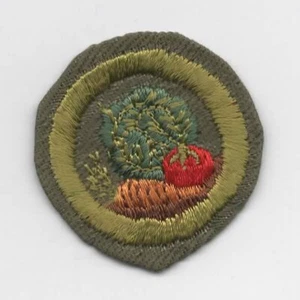 Gardening Merit Badge, Type E Khaki Narrow Crimped (1947-60), Lightly-Used - Picture 1 of 1