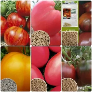 Juego de tomates rojos. UCRANIA. Semillas seleccionadas no transgénicas - Imagen 1 de 1