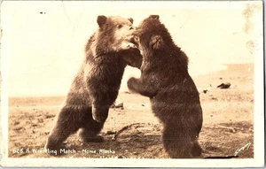 RPPCTwo Bears Wrestling Nome Alaska Echt Foto Postkarte - Bild 1 von 2