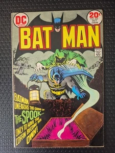 BATMAN #252 6.0 // CUBIERTA NICK CARDY & GASPAR SALADINO DC COMICS 1973 - Imagen 1 de 14