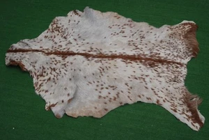 New Goat hide Rug Hair on Area Rug Size 38"x24" Animal Leather Goat Skin S1641 - Picture 1 of 3
