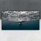 Canvas Picture Print Decor Ready To Hang 100x50 Whale Ocean Wildlife
