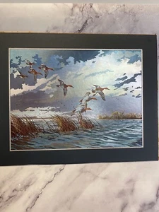 David Maass Ducks Over Windswept Water Art Print . Matted - Picture 1 of 4