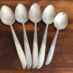 Vajilla de colección Años 50 Wm A Rogers superpuesta de plata Oneida madera silvestre I siempre 5 cucharas - Imagen 1 de 4