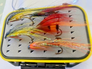 10 large Salmon flies in a Perspex waterproof case - Picture 1 of 8