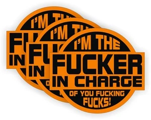 (3) F**ker In Charge Hard Hat Stickers Helmet Decals ~ Welder Foreman Funny Boss - Picture 1 of 1