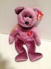 2000 Signature Bear Ty Beanie Babies Retired Collection Mint Condition