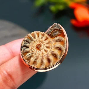Ammonite Shell Gemstone Copper Ring Statement Ring Jewelry Gift For Women - Picture 1 of 4