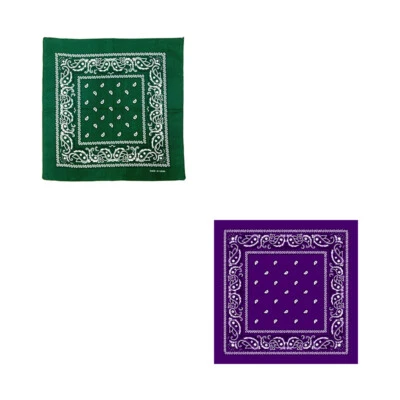 Paquete de 2 pañuelos 100 % algodón estampado cachemira bufanda de doble cara cuello máscara facial Foto 1 de 4