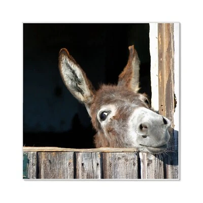 banjado Design Memoboard 50x50cm Pinnwand weiß Magnettafel Nicki - Bild 1 von 4