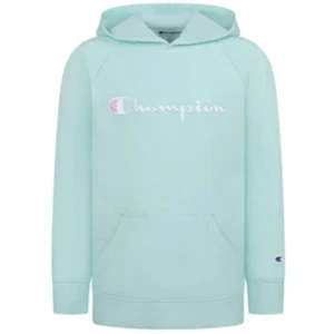 CHAMPION Athletic Wear Girls Youth Hoodie Sweatshirt Sz XL Light Ice Fall NEW - Picture 1 of 9