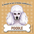 Poodle Magnet - House Is Not A Home Wht
