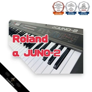 Roland Juno2 Synthesizer voll funktionsfähig Tasten Vintage Musik Ausrüstung - Bild 1 von 4