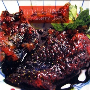 GEBRAUCHT: Animal Collective - Strawberry Jam (2xLP, Album, Ltd) Vinyl - Grading in d - Bild 1 von 5
