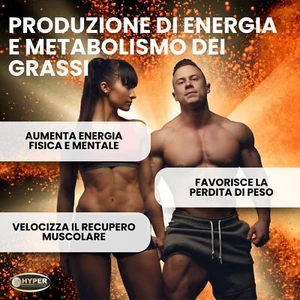 ACETIL L-CARNITINA | 1000 MG x capsula |Dimagrante Brucia Grassi 60 capsule - Foto 1 di 6