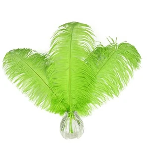 10 PCS Green Ostrich Feathers 16-18" DIY Craft Wedding Party Centerpieces - Picture 1 of 4