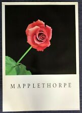 Rose by Robert Mapplethorpe (70cm x 97cm)
