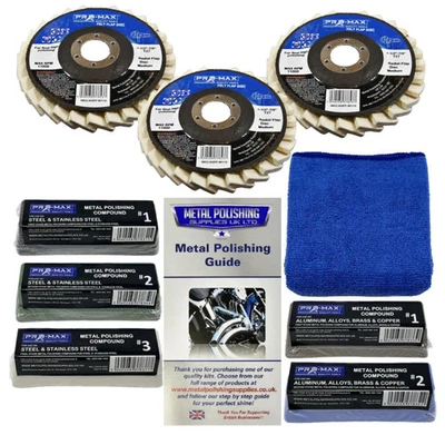 PRO-MAX PROFESSIONAL QUALITY TOOLS Angle Grinder Universal Metal Polishing Kit, 9pc Felt Flap Wheels