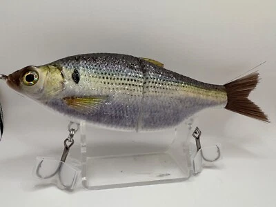 TYG Shad Glide bait swimbait custom 5.5 inch Sushi Shad NEW - Image 1 of 4