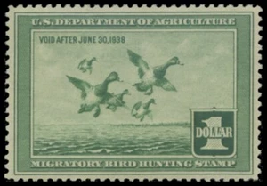 RW4 1937 Federal Duck Stamp Mint Never Hinged. Original Gum - Picture 1 of 1