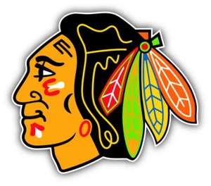 Chicago Blackhawks NHL Hockey Head Logo Car Bumper Sticker - 3'' or 5'' - Picture 1 of 1