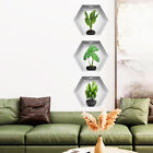 3pcs/set 3d Stereoscopic Potted Wall Stickers Living Room Stickesu