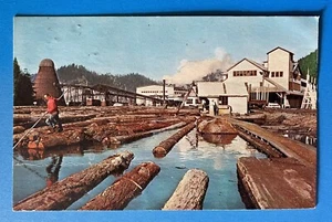SCOTIA CALIFORNIA CA Pacific Lumber Company Redwood Mill log pond Postcard - Picture 1 of 2
