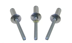 Small Head Mill Long Reach Rivets Pop Rivet 250ct 3/16" Racing Fasteners IMCA - Picture 1 of 7