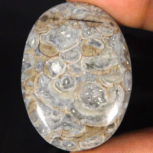 51.00Cts. Natural Mushroom Rhyolite Untreated Oval Cabochon Loose Gemstone - Picture 1 of 3
