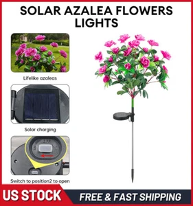 LED Solar Power Azalea Flower Lights Outdoor Garden Landscape Yard Lamp Decor - Picture 1 of 18