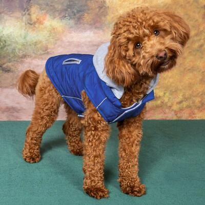 Dog Coat with Hoodie - Royal Blue - Image 1 of 3