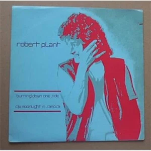 ROBERT PLANT BURNING DOWN ONE SIDE 7" P/S ITALIAN - Picture 1 of 1